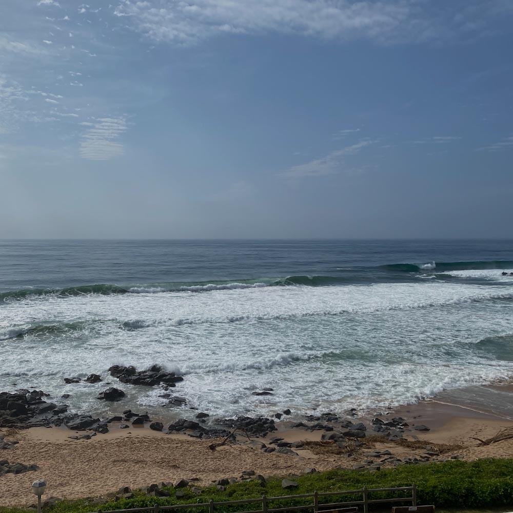 Bogs Bay